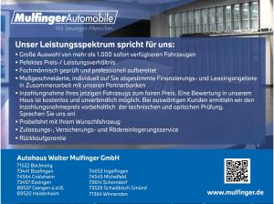 BMW X4 M Compet. Laser HUD Kamera Har/Kar.AHK 21"