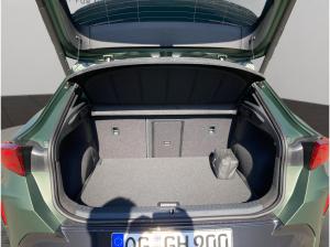 Cupra Formentor Tribe Edition 245 kW (333 PS) 7-Gang DSG 4Drive