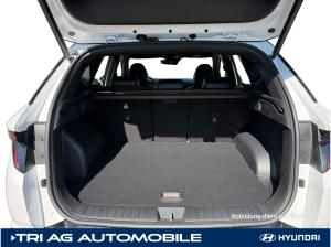 Hyundai TUCSON Tucson FL 1.6 T-GDI 7-DCT 4WD N Line X Dachlackierung