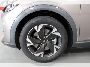 Cupra Tavascan Endurance | SONDERAKTION | -14450