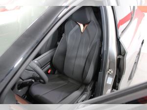 Cupra Tavascan Endurance | SONDERAKTION | -14450