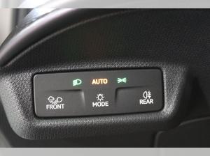 Cupra Tavascan Endurance | SONDERAKTION | -14450