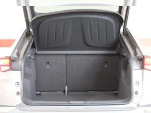 Cupra Tavascan Endurance | SONDERAKTION | -14450