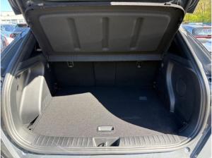 Hyundai KONA NLineX+Panodach+Navi+Bose+360 Kamera+LED