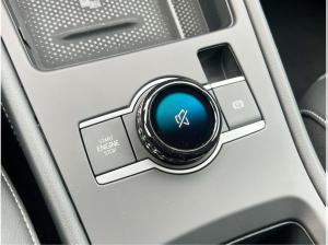 Volkswagen T-Roc R-Line 1.5 l eTSI OPF DSG CarPlay Matrix