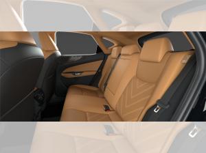 Lexus NX 450h+ Plug-in Business Line +Vorlauf +div. Farben