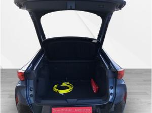 Cupra Tavascan Endurance HEAT PUMP NAVI eHECK ALL SEASON