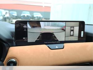 Mazda CX-60 D 254ps Aut. AWD Homura Plus SoMo / Nappa Braun