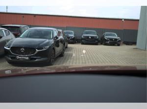 Mazda CX-60 D 254ps Aut. AWD Homura Plus SoMo / Nappa Braun