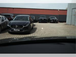 Mazda CX-60 2026 eSKYACTIV D 200ps Automatik Homura COSO-Paket