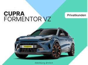 Cupra Formentor VZ 4drive 2.0 TSI | Privat