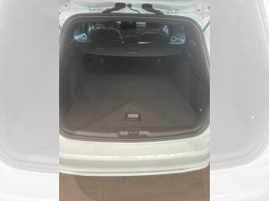 Ford Focus Turnier (CGE)