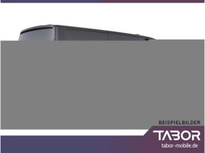 Ford Transit Custom Aut Trend 320L2 LED LadeP SHZ 16Z