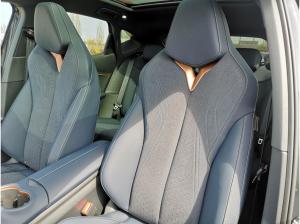 Cupra Tavascan 210 kW Endurance Adrenaline Pack AAC ACC 360°