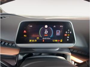 Cupra Tavascan ACC RFK Totwinkel-Ass. Parklenk-Ass.