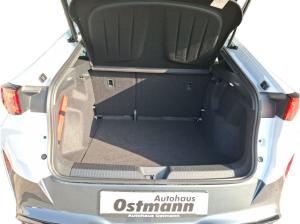 Cupra Tavascan ACC RFK Totwinkel-Ass. Parklenk-Ass.