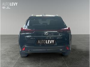 Lexus UX-300h UX 300h Modell26 F Sport Design +Navi+SHZ+LM