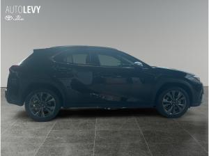 Lexus UX-300h UX 300h Modell26 F Sport Design +Navi+SHZ+LM