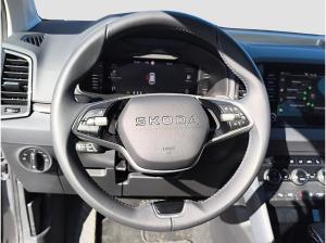 Skoda Karoq 2.0 TDI DSG Drive 4x4 AHK PANO MATRIX ACC KESSY RFK