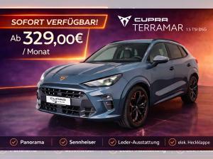 Cupra Terramar 1.5 TSI DSG Panorama|Sennhsr|Leder|19" Sofort!