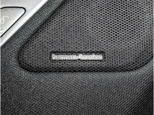 BMW ix iX xDrive45 M Sport HuD LED Sky Lounge DA PROF 21