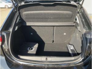 Opel Corsa Electric  KLIMAAUTOMATIK*PDC*CCS*DAB