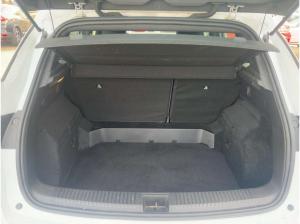 Renault Austral 1.3 TCe 160 Mild-Hybrid Evolution