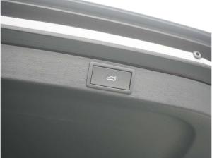 Skoda Octavia Selection DSG PANO LEDER ACC HUD NAVI