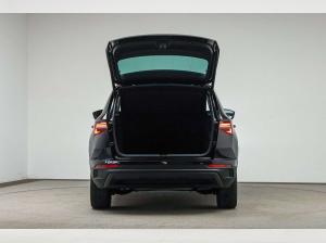 Skoda Karoq 1.5 TSI DSG TOUR*KESSY*AREA-VIEW*MATRIX*AH