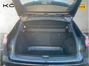 Renault Austral 1.3 TCe 160 Mild-Hybrid  Rückfahrkamera