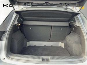 Renault Austral Mild Hybrid 140 Klima, Winter-Paket. LM