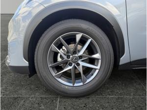 Lexus LBX 1.5 Hybrid Komfortpaket Kamera+Navi+SHZ+LM