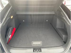 Renault Arkana TCe 140 Mild-Hybrid Techno SHZ Kamera