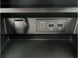 Renault Arkana TCe 140 Equilibre Kamera LED Allwetter