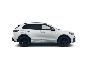 Volkswagen Tiguan 2.0 TDI 4MOTION DSG R-Line BlackStyle WinterPak Leder AHK Pano