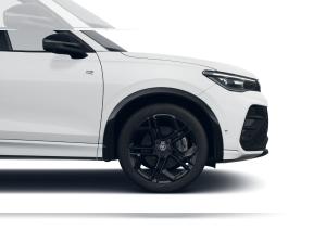 Volkswagen Tiguan 2.0 TDI 4MOTION DSG R-Line BlackStyle WinterPak Leder AHK Pano