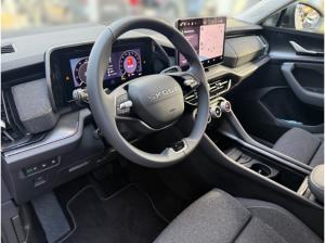 Skoda Kodiaq 2.0 TDI DSG Selection *AHK*KOMFORT*