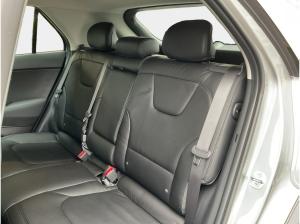 Kia Niro (64kWh) e-Niro Vision TaxiUmbau+ACC+Carplay+