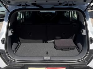 Kia EV2 ⚡ 42.2 4S EARTH WIC TEC DWP⚡ sofort verfügbar✅