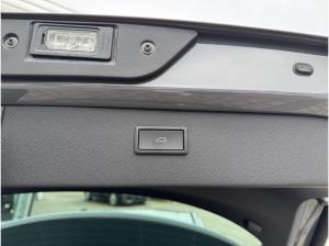 Cupra Formentor VZ 2.0 TSI Beats Paket-XL Memory-Sitz