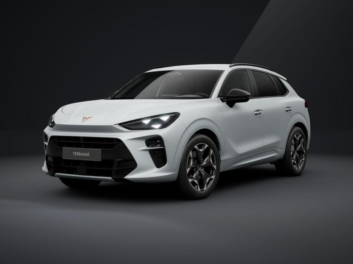 Cupra Terramar VZ 2.0 TSI DSG 4Drive - inkl. Wartung/Inspektion *SOFORT VERFÜGBAR*
