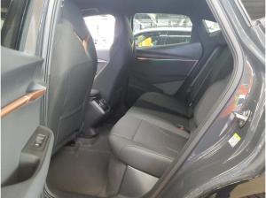 Cupra Tavascan Endurance 210kW - Wärmepumpe Kamera Navi  LED LM ACC SHZ GJR Park Assist