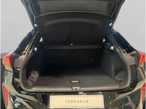Cupra Terramar Cupra Terramar 4Drive | Gewerbeleasing | sofort Verfügbar!