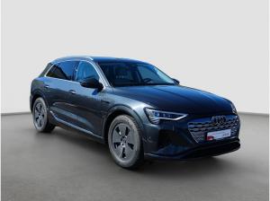 Audi Q8 e-tron 55 quattro advanced Standklima Navi Matrix Parkassistent