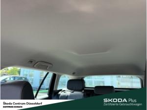 Skoda Octavia Combi Selection 1.5 TSI mHEV Rückfahrkamera Interieur-Design-Paket Lodge
