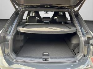Volkswagen Tiguan R-Line 2.0 TDI DSG AHK Black Style IQ. Drive