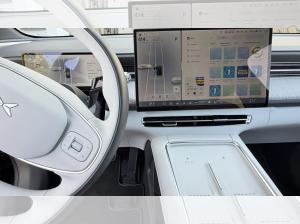 XPENG G6 AWD Performance Black Edition mit AHK