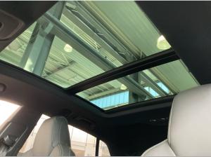 Audi Q8 TFSI e quattro 290 kW