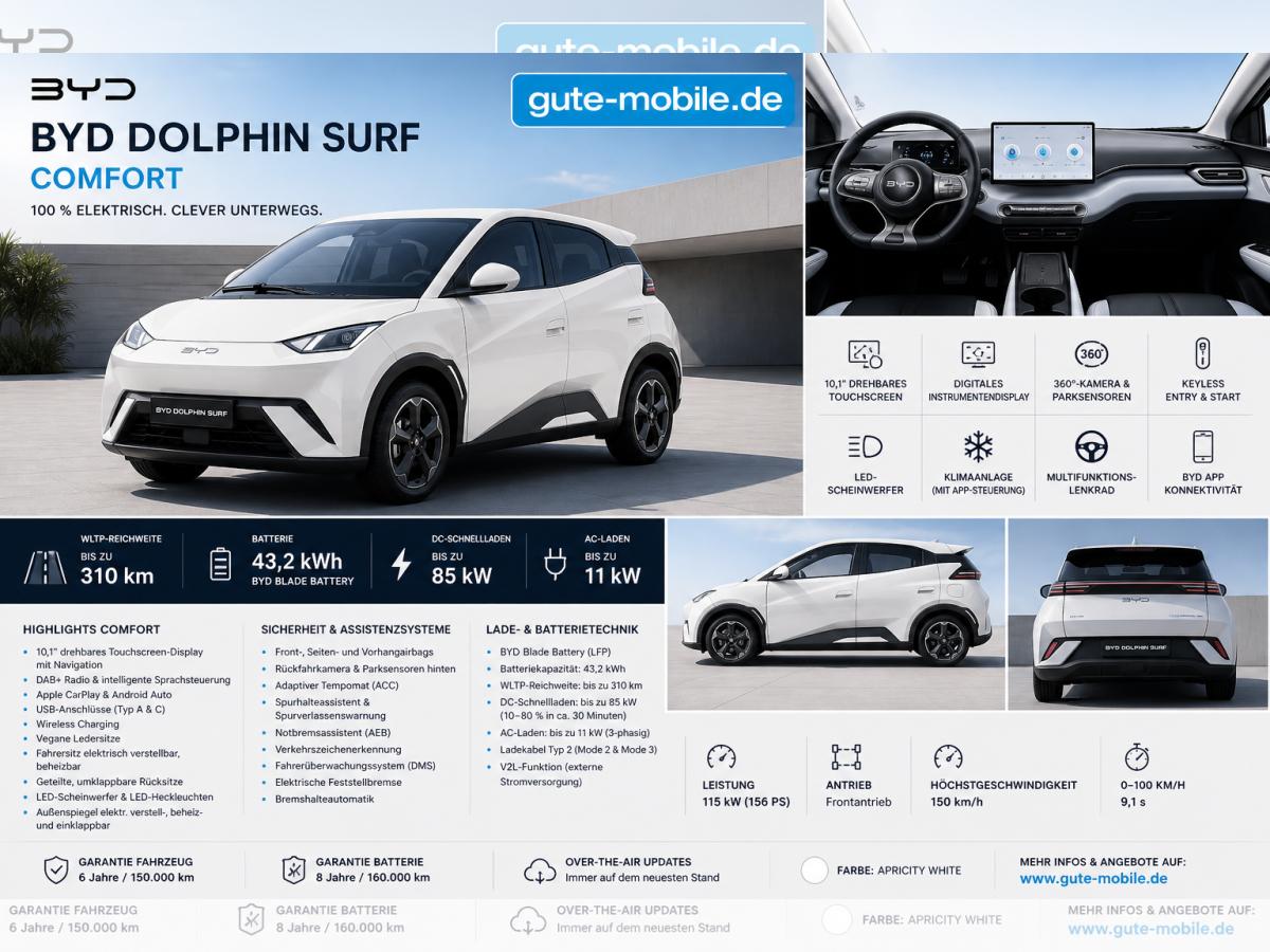 BYD DOLPHIN SURF COMFORT