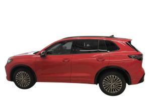 Volkswagen Tiguan R-Line 2.0TSI DSG 4Motion +STDHZ+LEDER+AHK+